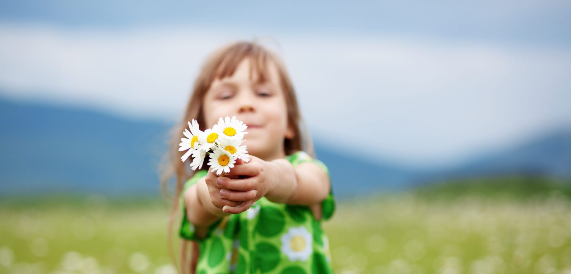 Child holding daisies in a field